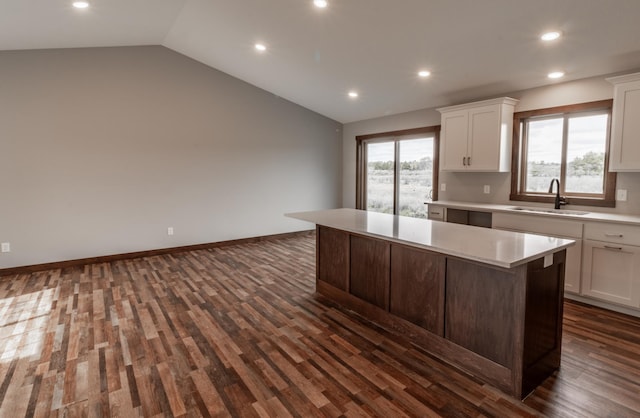 kitchen featuring dark wood-type flooring, vaulted ceiling, a wealth of natural light, and sink