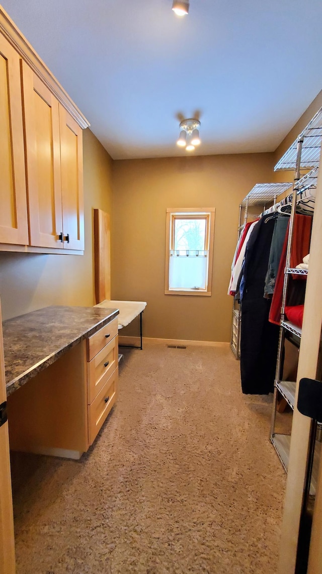 28419 220th St, Shevlin, MN 56676 - spacious closet with light carpet