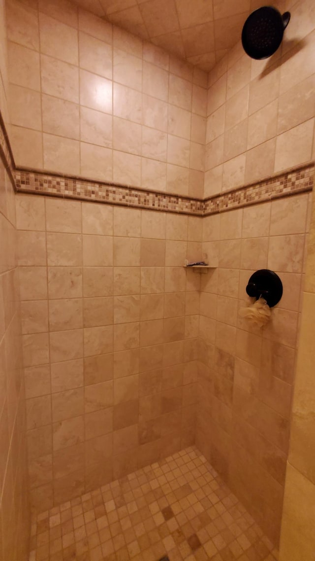 28419 220th St, Shevlin, MN 56676 - full bath with a tile shower