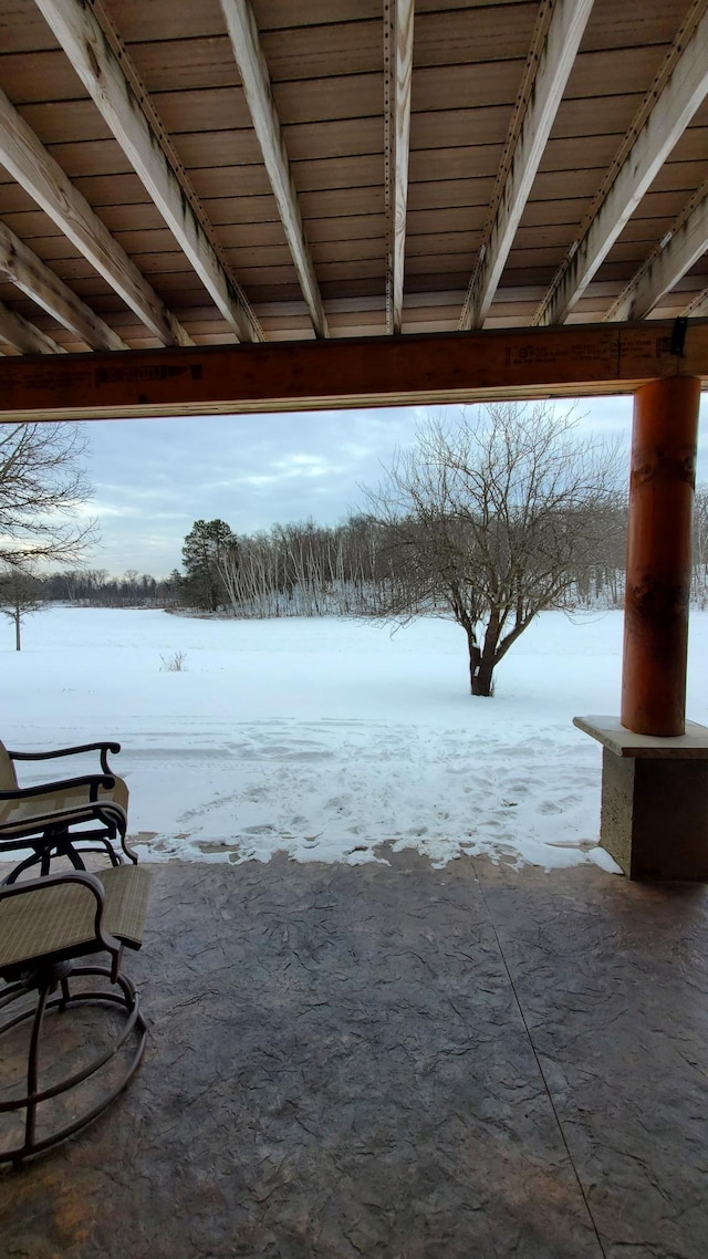 28419 220th St, Shevlin, MN 56676 - view of patio