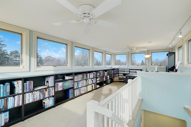 interior space featuring ceiling fan and carpet flooring