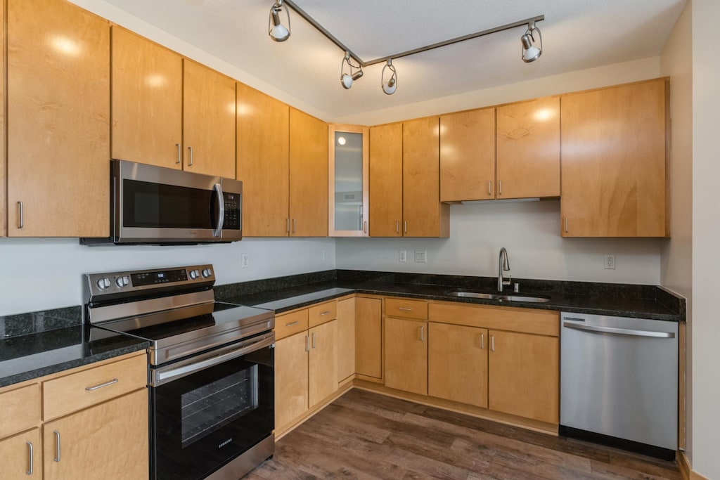 kitchen featuring dark wood finished floors, dark stone counters, glass insert cabinets, stainless steel appliances, and a sink