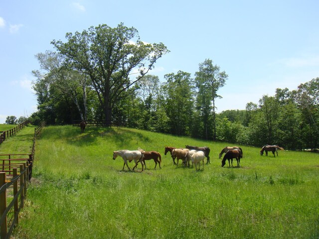 view of yard with a rural view