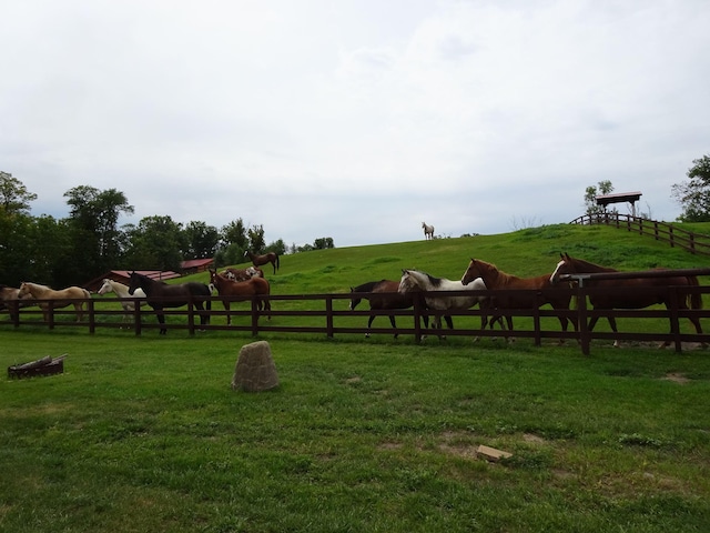 exterior space with a lawn and a rural view