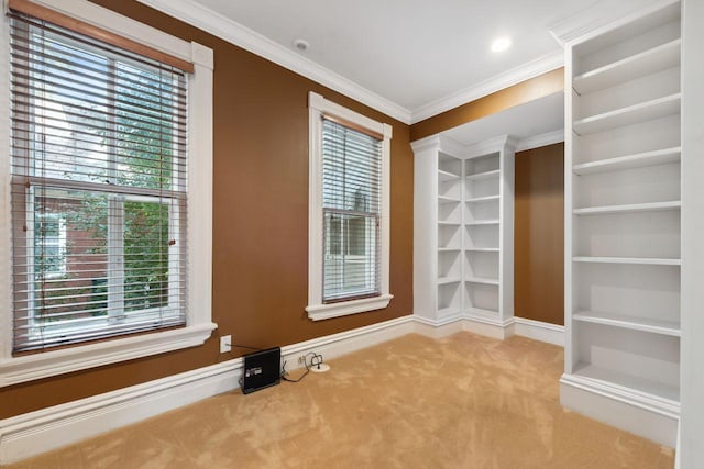 interior space with light colored carpet