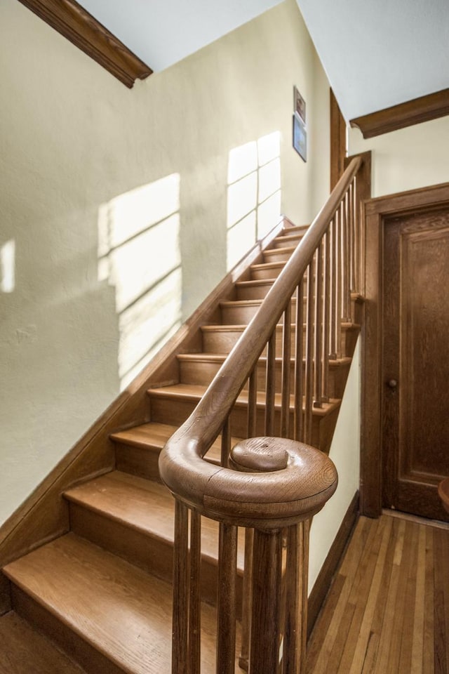 stairway featuring hardwood / wood-style flooring