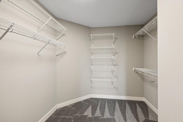 walk in closet with carpet