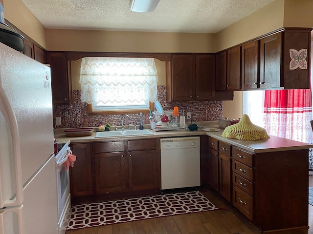 kitchen with plenty of natural light, sink, dark wood-type flooring, and white appliances