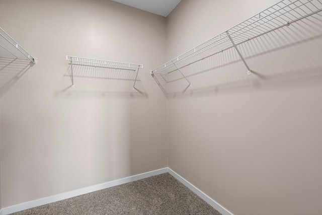 spacious closet with carpet