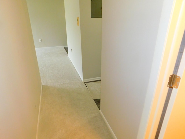 hallway featuring carpet flooring and electric panel