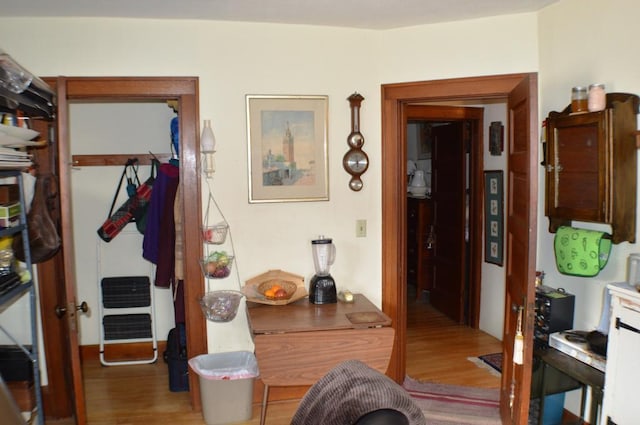 bedroom featuring light wood-type flooring