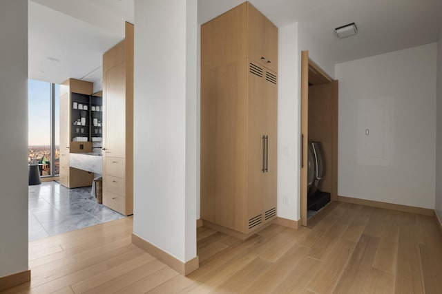 corridor with floor to ceiling windows, light wood-type flooring, and electric panel