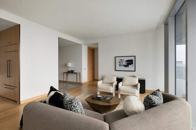 living room featuring light wood-type flooring