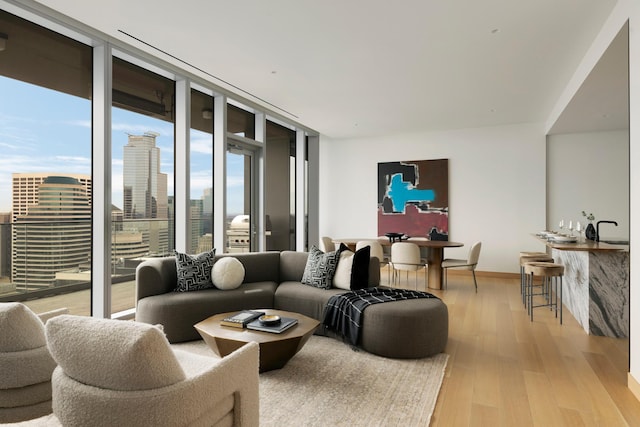 living room featuring light hardwood / wood-style flooring and sink