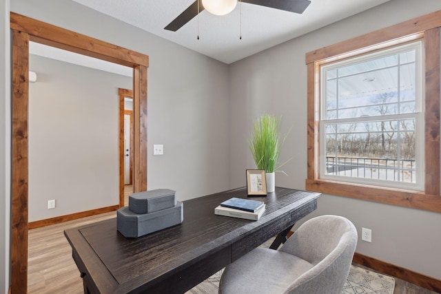 office featuring ceiling fan and light hardwood / wood-style floors