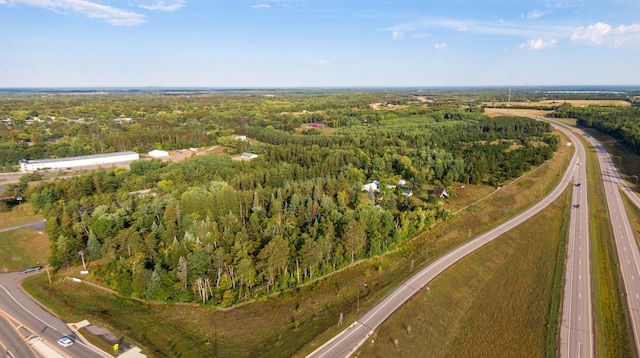 TBD Main St, Pequot Lakes, MN 56472 - photo 2