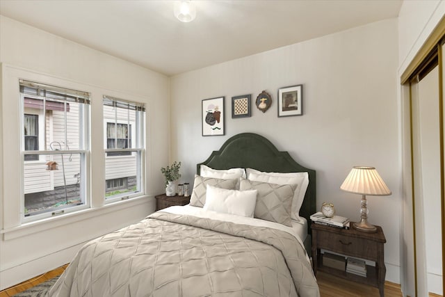 bedroom with a closet, multiple windows, and hardwood / wood-style flooring