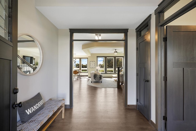 hall featuring dark wood-type flooring