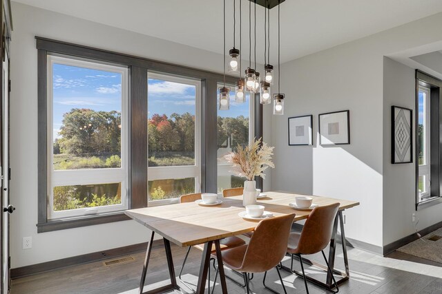 dining room featuring dark wood-type flooring and a wealth of natural light