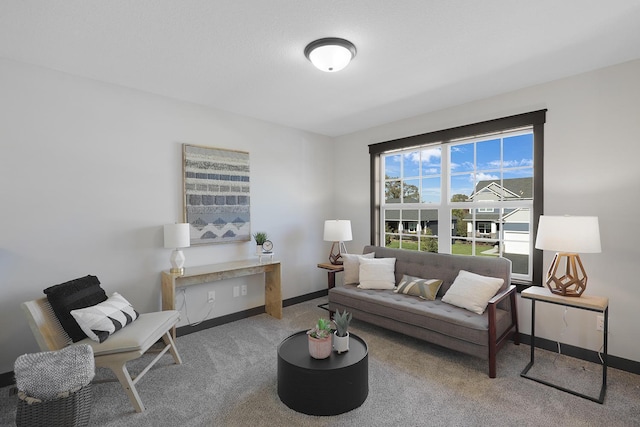 view of carpeted living room