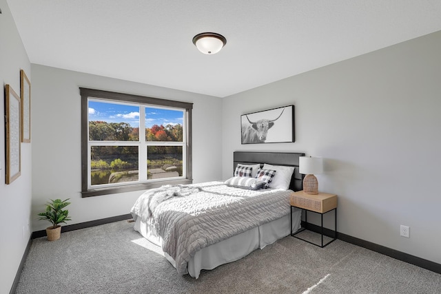 bedroom featuring carpet flooring