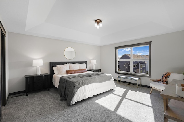 carpeted bedroom with a raised ceiling