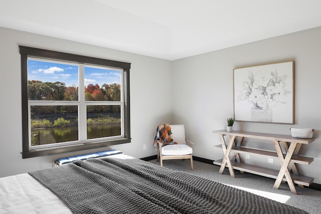 bedroom with carpet flooring