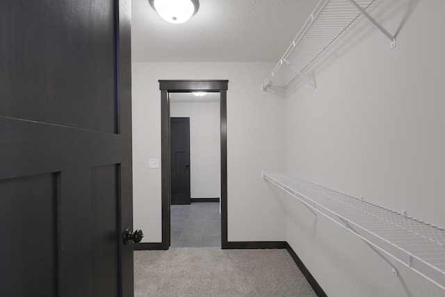 spacious closet featuring carpet flooring