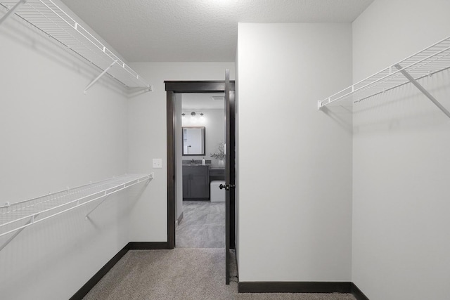 spacious closet with carpet floors