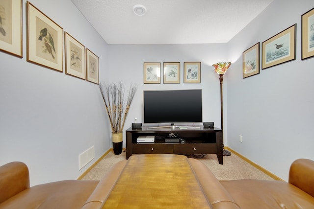 living room with light carpet