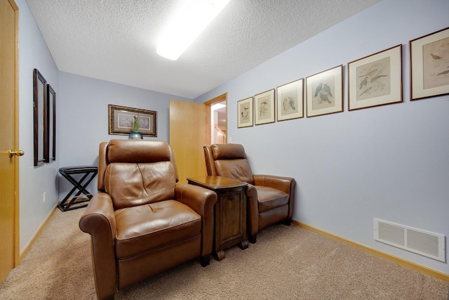 sitting room with light carpet and a textured ceiling