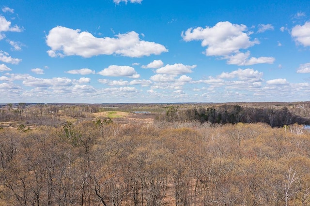 view of local wilderness