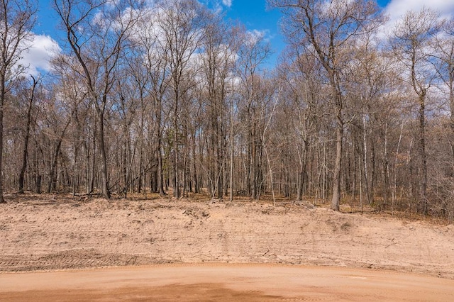 view of landscape