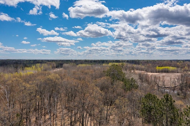 view of local wilderness