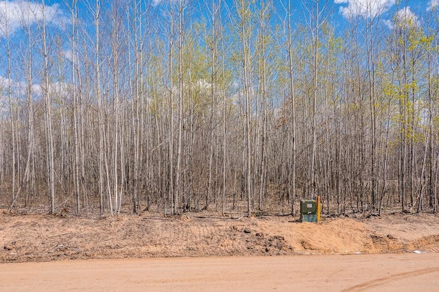 LOT29 Sanctuary Path, Brainerd, MN 56401 - photo 44