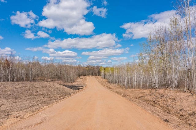 LOT29 Sanctuary Path, Brainerd, MN 56401 - photo 45