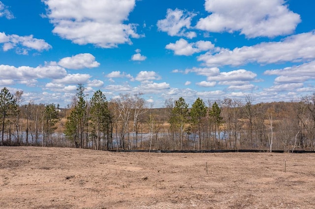 view of local wilderness