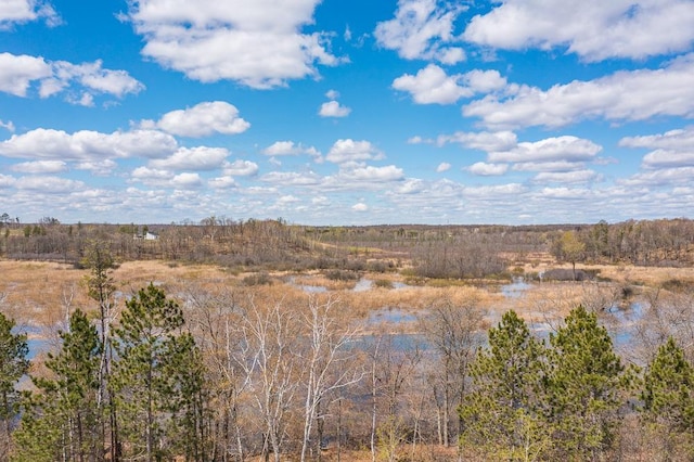 view of nature