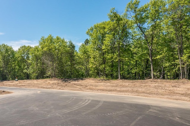 LOT29 Sanctuary Path, Brainerd, MN 56401 - photo 9