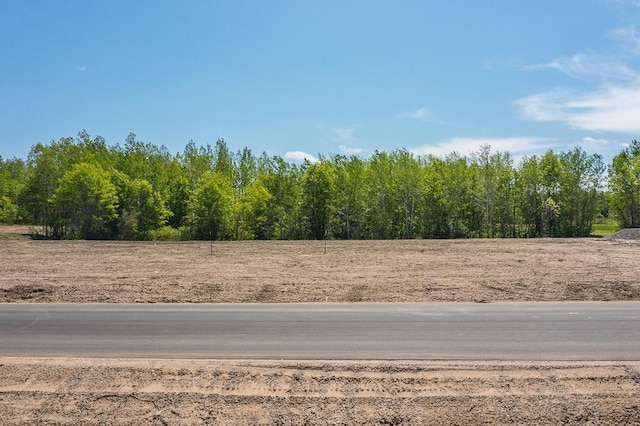 LOT29 Sanctuary Path, Brainerd, MN 56401 - photo 70