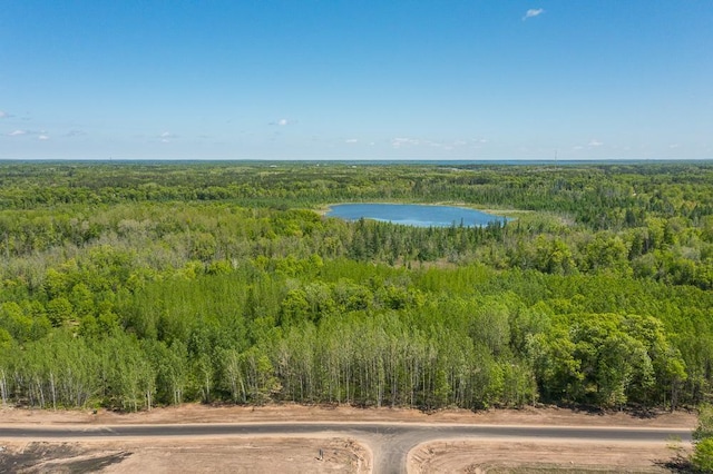 LOT29 Sanctuary Path, Brainerd, MN 56401 - photo 77