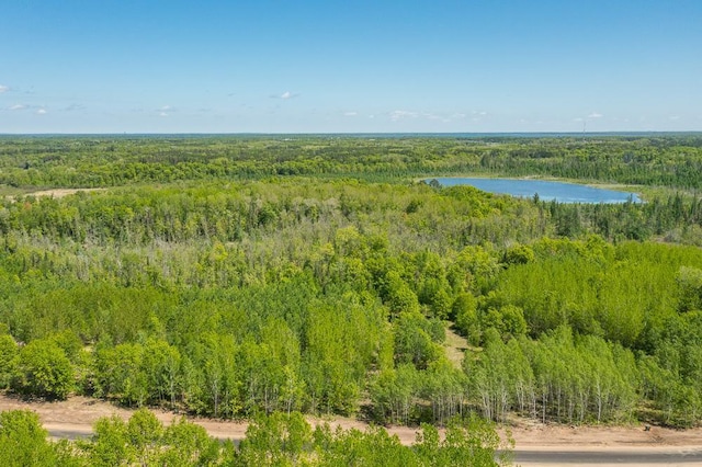 LOT29 Sanctuary Path, Brainerd, MN 56401 - photo 81