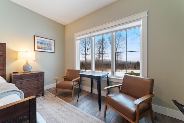 bedroom with hardwood / wood-style floors