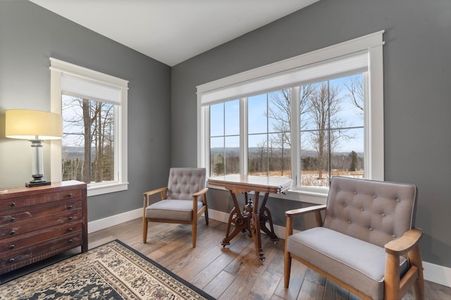 sitting room featuring hardwood / wood-style floors