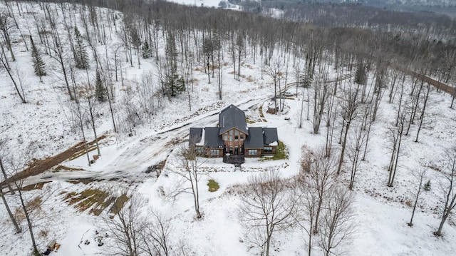 view of snowy aerial view