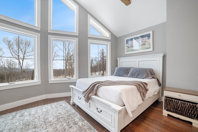 bedroom featuring multiple windows, dark wood-type flooring, and high vaulted ceiling