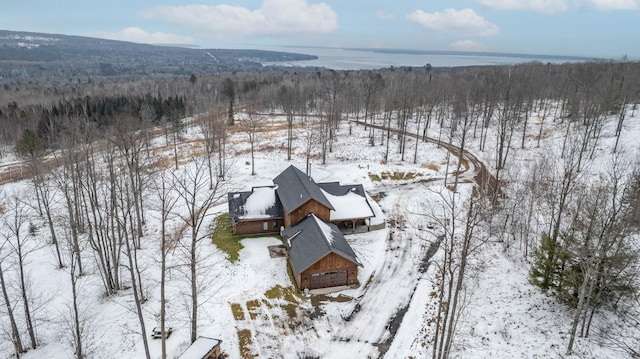 view of snowy aerial view