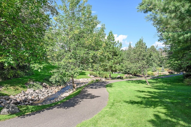 surrounding community featuring a lawn