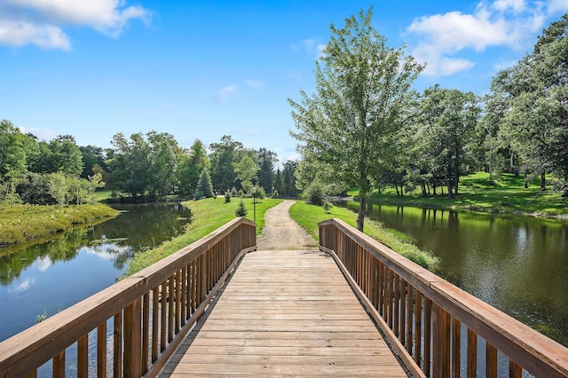 dock area with a water view