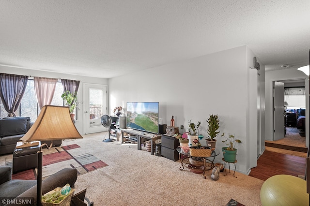 living room with light carpet and a textured ceiling